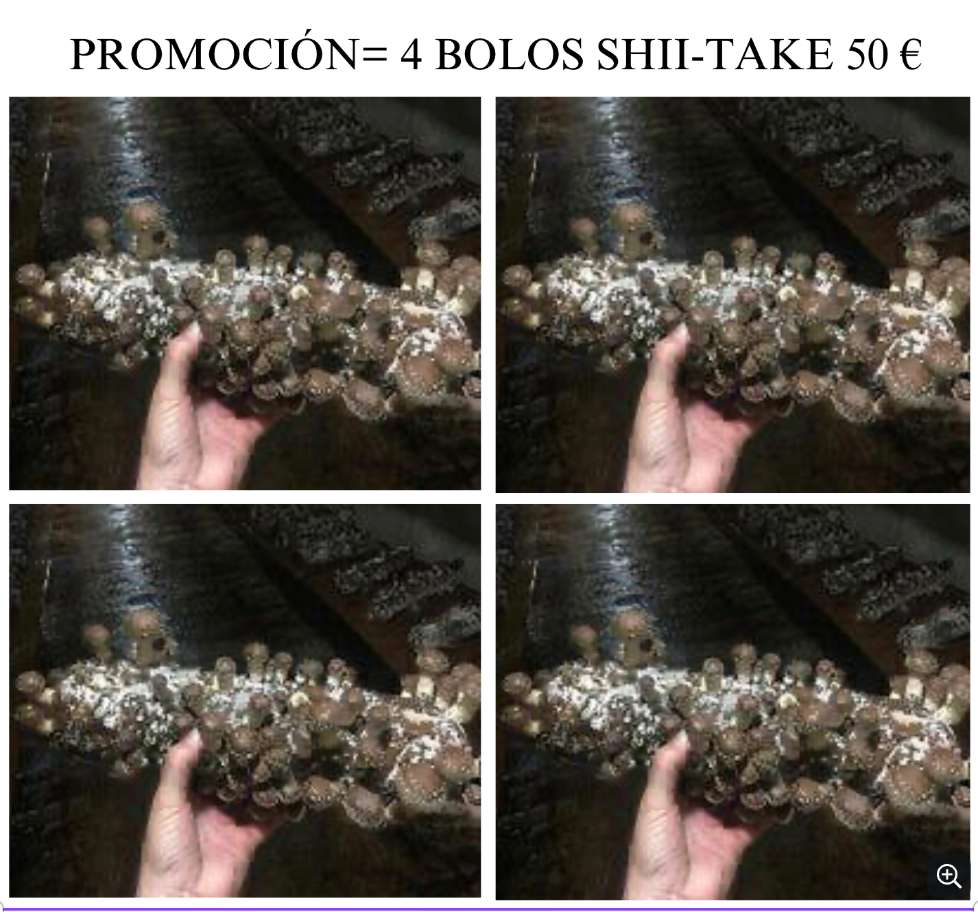 Promoción Navidad, Shii-Take Bolo 4 unidades por 50 €